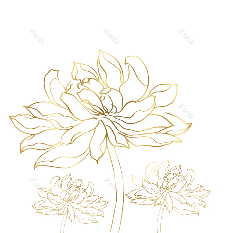 中国图片,植物素材元素,植物PNG,植物装饰免抠素材